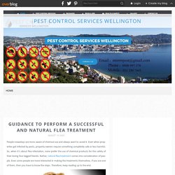 Guidance to perform a successful and natural flea treatment