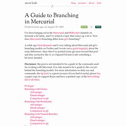 A Guide to Branching in Mercurial