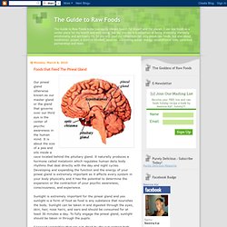 Foods that Feed The Pineal Gland
