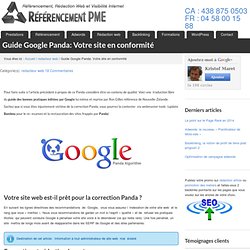 Guide Google Panda, votre site et Panda ?