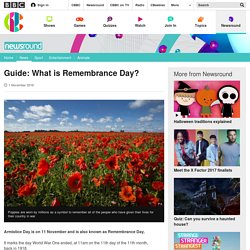 CBBC Newsround - What is Remembrance Day?