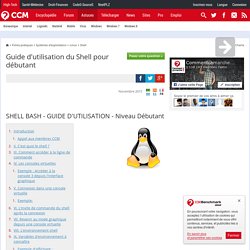 Guide d'utilisation du Shell pour débutant