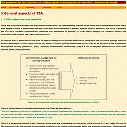 SEA guidelines for the evaluation of strategy papers in development co-operation. (Marianne Fernagut)