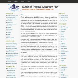 Guidelines to Add Plants in Aquarium