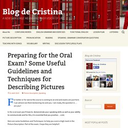 Preparing for the Oral Exam? Some Useful Guidelines and Techniques for Describing Pictures