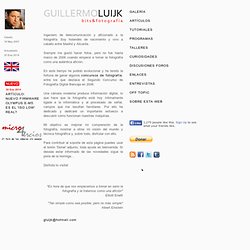 GUILLERMO LUIJK  -  bits & fotografía