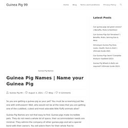 Trendy Guinea Pig Names