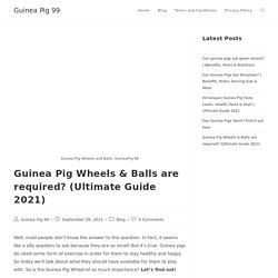 Guinea Pig Wheels & Balls are required?