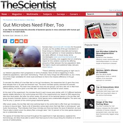Gut Microbes Need Fiber, Too