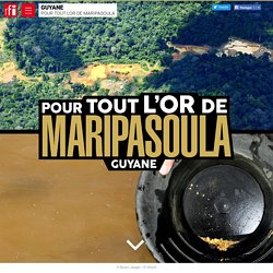 Guyane : pour tout l’or de Maripasoula