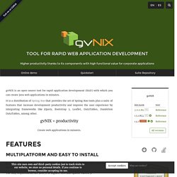gvNIX, Spring Roo based RAD tool for Java developers – gvNIX