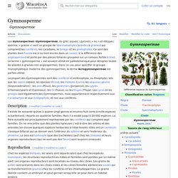 Gymnospermes