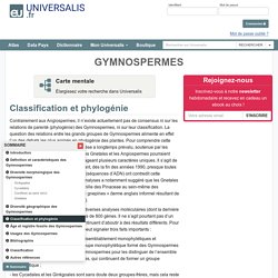 GYMNOSPERMES, Classification et phylogénie