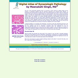 Digital Atlas of Gynecologic Pathology by Meenakshi Singh, MD ©