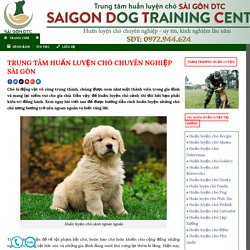 Hướng dẫn huấn luyện chó hiệu quả từ A – Z