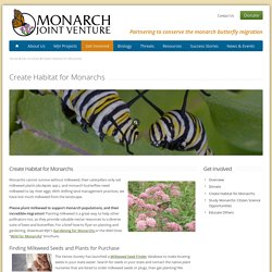 Create Habitat for Monarchs