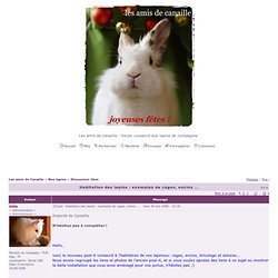 Habitation des lapins : exemples de cages, enclos ...