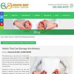 Habits That Can Damage the Kidneys