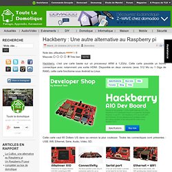 Hackberry : Une autre alternative au Raspberry pi