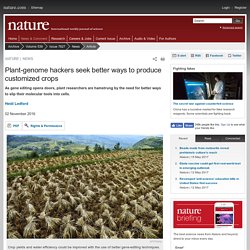NATURE 02/11/16 Plant-genome hackers seek better ways to produce customized crops