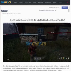 DayZ Hacks □ Cheats: Undetected Aimbot, ESP and More!