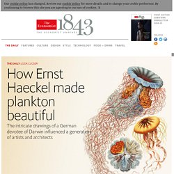 How Ernst Haeckel made plankton beautiful