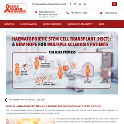 What Is Haematopoietic Stem Cell Transplant (HSCT) For Multiple Sclerosis