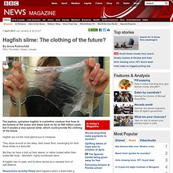 Hagfish slime: The clothing of the future? - FrontMotion Firefox