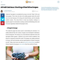 All Hail Cab Sauv: the King of Red Wine Grapes - WriteUpCafe.com