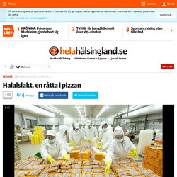 Halalslakt, en råtta i pizzan