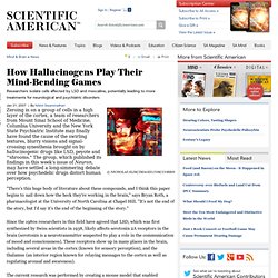 How Hallucinogens Play Their Mind-Bending Games: Scientific American - (Build 20100722150226)