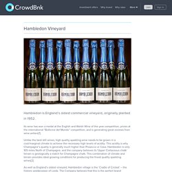 Hambledon Vineyard - Another sucessful fundraise on CrowdBnk