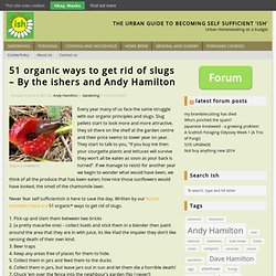 51 organic ways to get rid of slugs – By the ishers and Andy Hamilton
