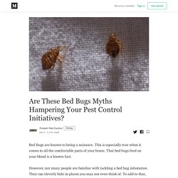 Are These Bed Bugs Myths Hampering Your Pest Control Initiatives?