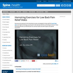 Hamstring Exercises for Low Back Pain Relief Video