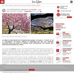 Hanami : admirer les cerisiers au Japon