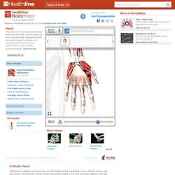 Hand Anatomy, Pictures & Diagram