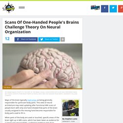 Scans Of One Handed People's Brains Challenge Theory On Neural Organization