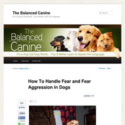How To Handle Fear and Fear Aggression in Dogs