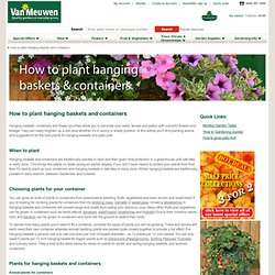 How to plant hanging baskets and containers