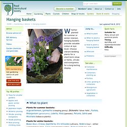 Hanging baskets / RHS Gardening Advice