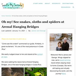 Arenal Hanging Bridges: See Snakes, Sloths and Spiders!