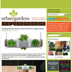 Hanging Kitchen Herb Garden Doubles as Light Fixture