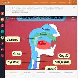 A magyar nyelv hangrendszere, a hangok találkozása és helyesírásuk