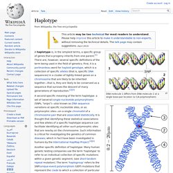 Haplotype