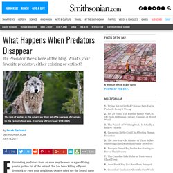 What Happens When Predators Disappear