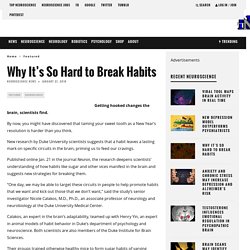 Why It’s So Hard to Break Habits – Neuroscience News