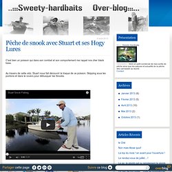 Sweety-Hardbaits - Voici un petit condensé de mes sortie de pêche ainsi que les astuces et actualité de la pêche des carnassier au leurre.