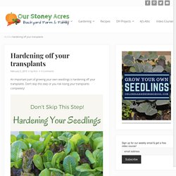 Hardening off your transplants - Our Stoney Acres