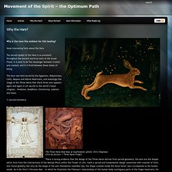 Why the Hare? « Movement of the Spirit – the Optimum Path